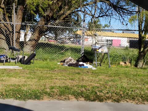 Rubbish/Recycling — a report photo