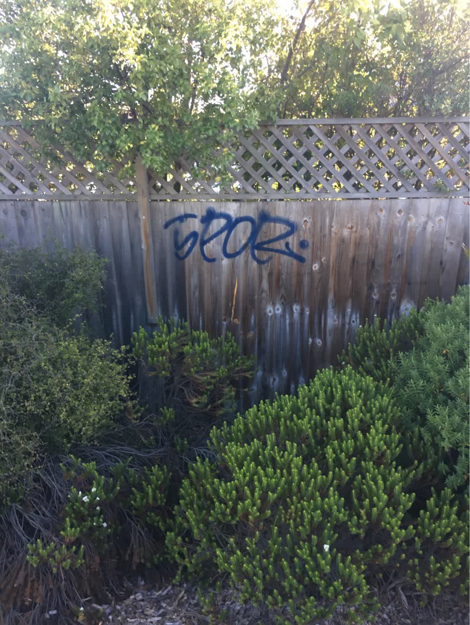 The photograph attached to this graffiti report