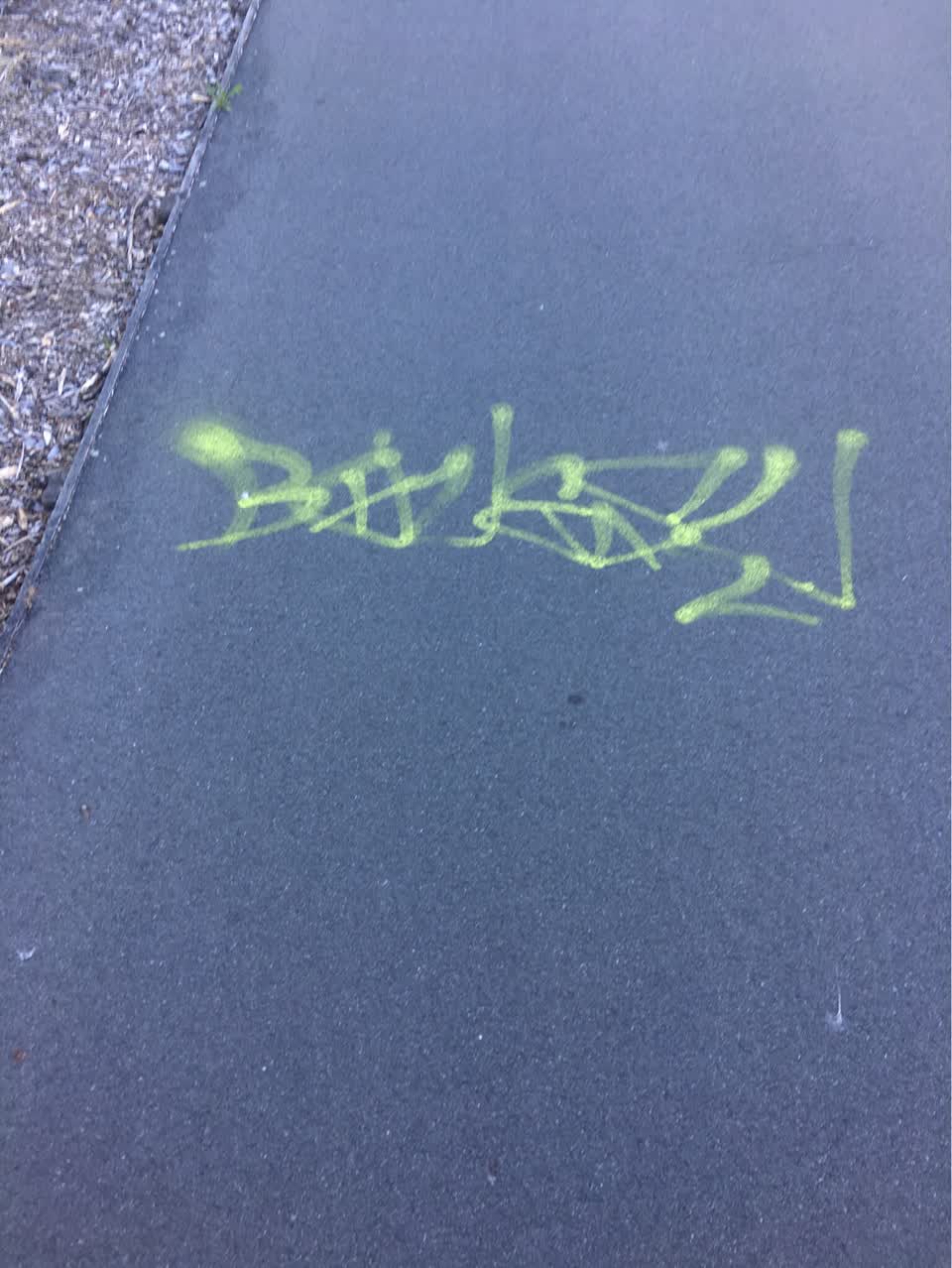 The photograph attached to this graffiti report