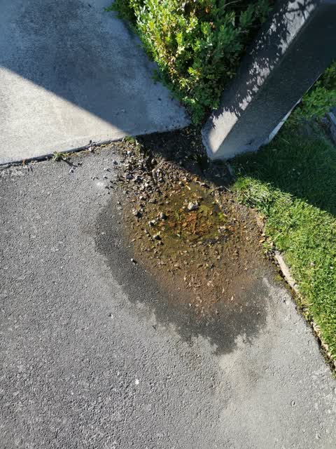 Water Supply, a report photo