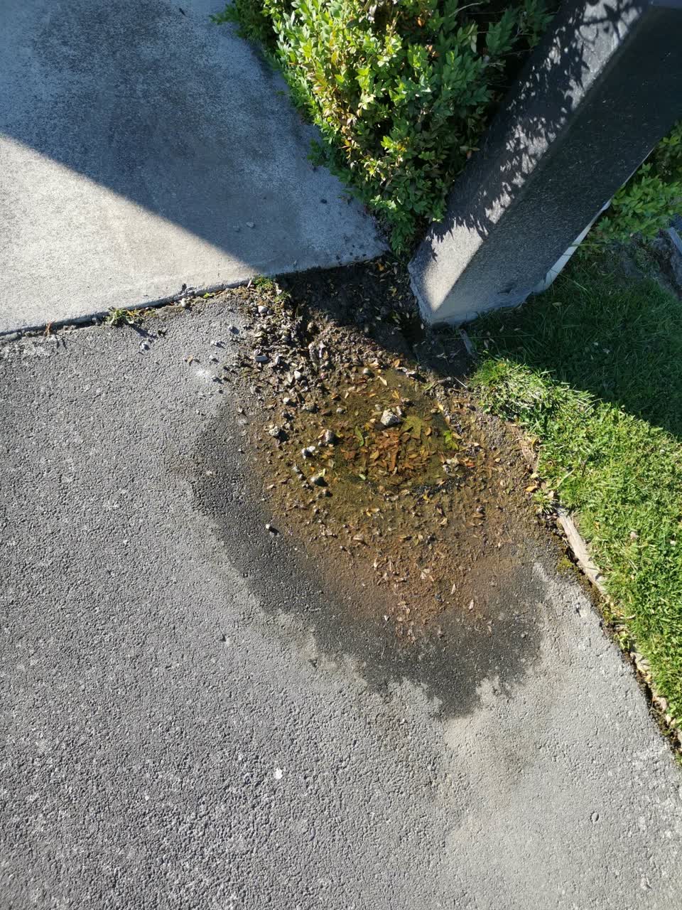 The photograph attached to this water supply report