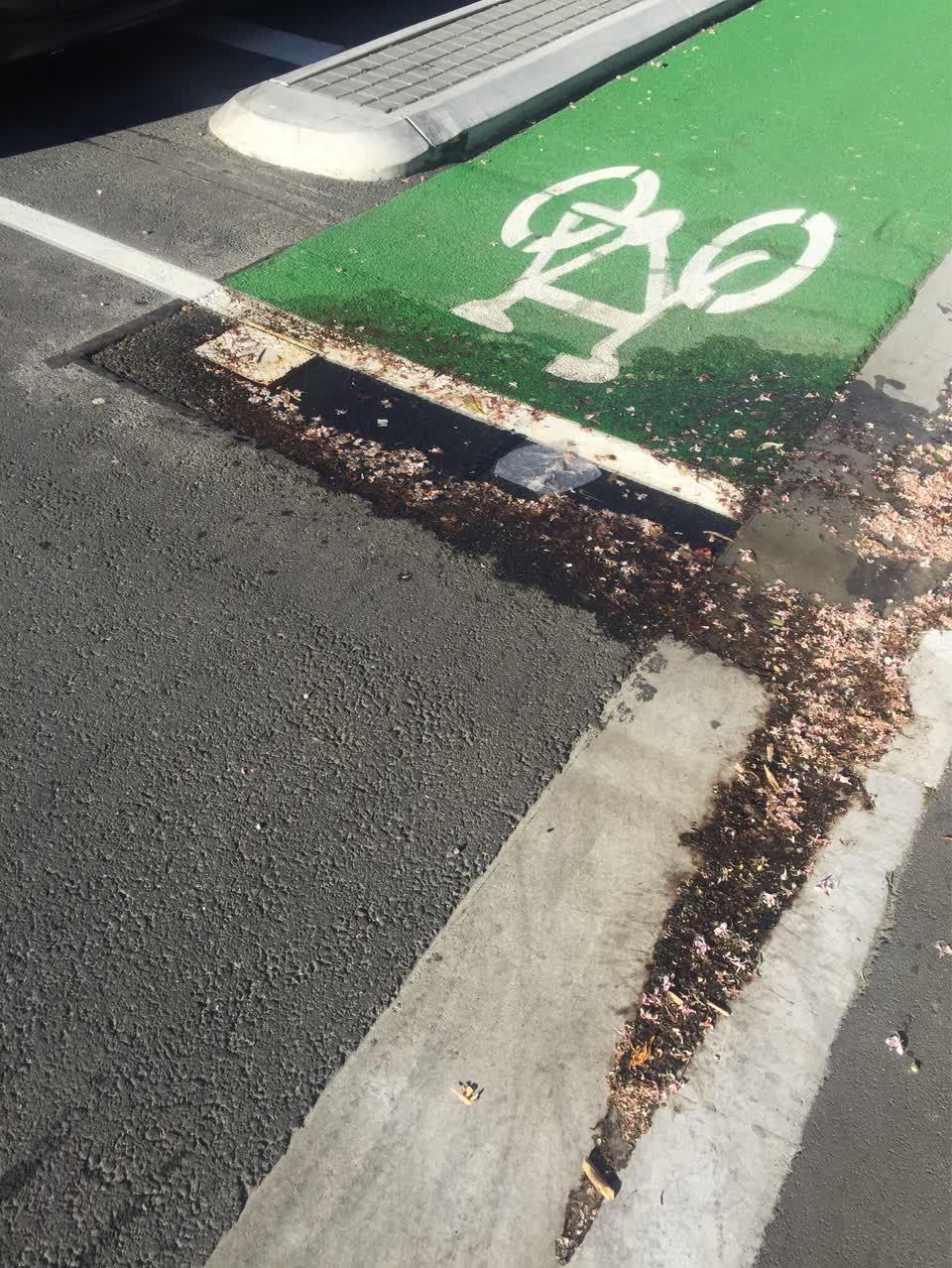 The photograph attached to this water supply report