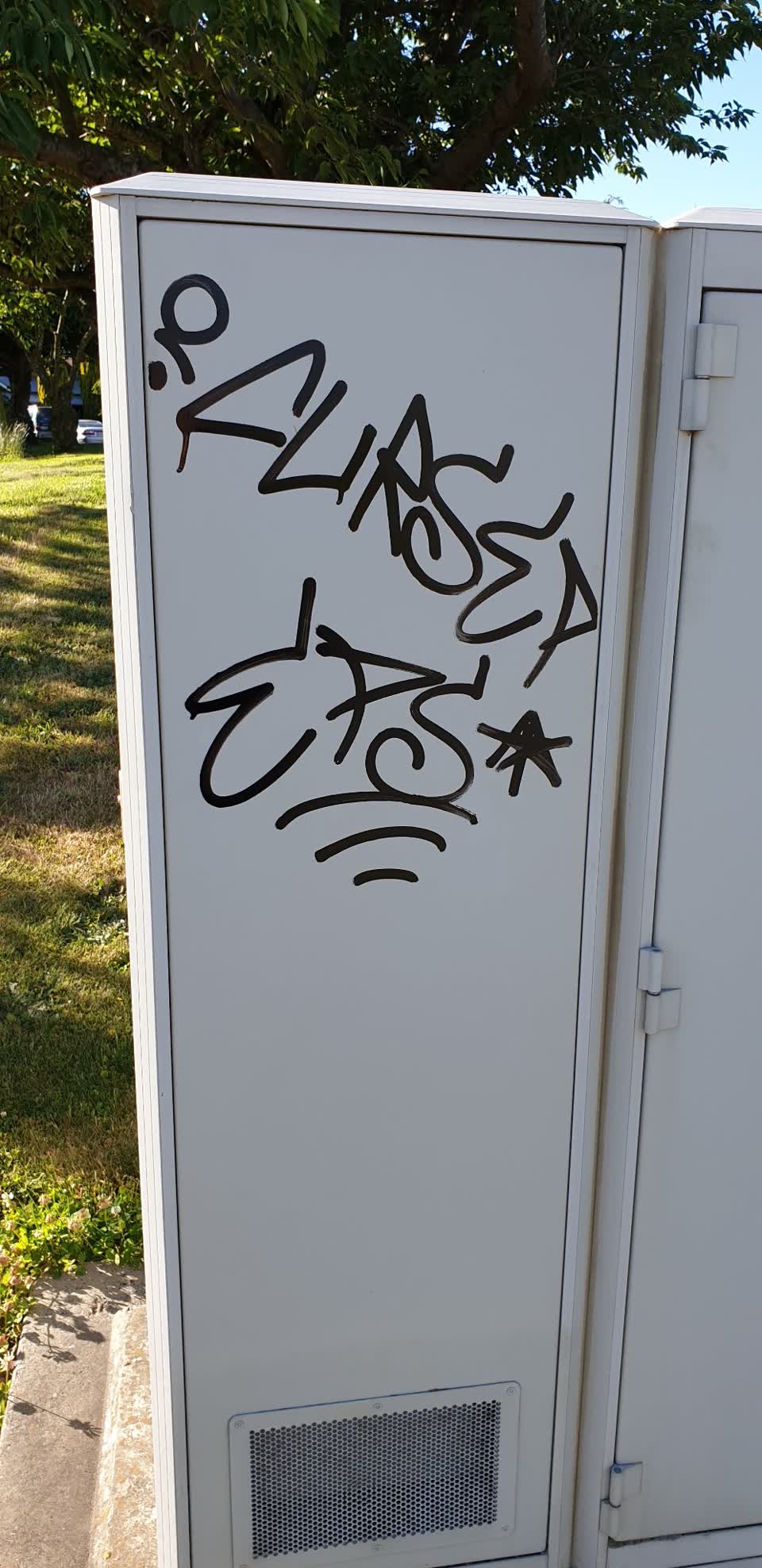 The photograph attached to this graffiti report