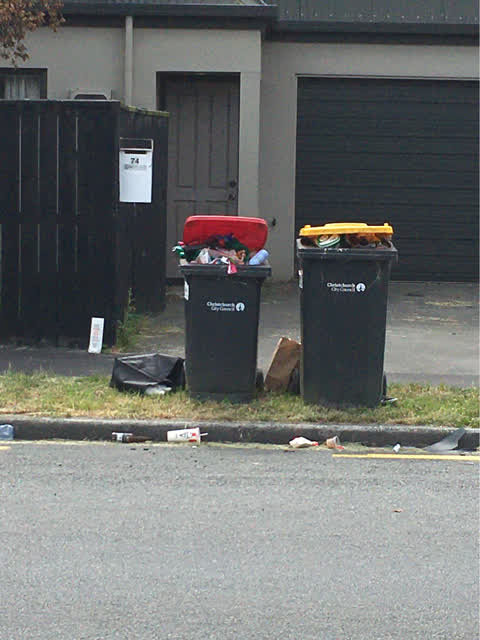 Rubbish/Recycling, a report photo