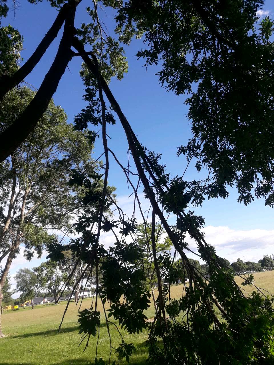 The photograph attached to this parks report