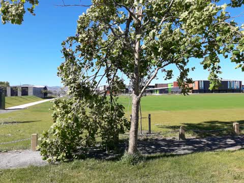 Parks, a report photo
