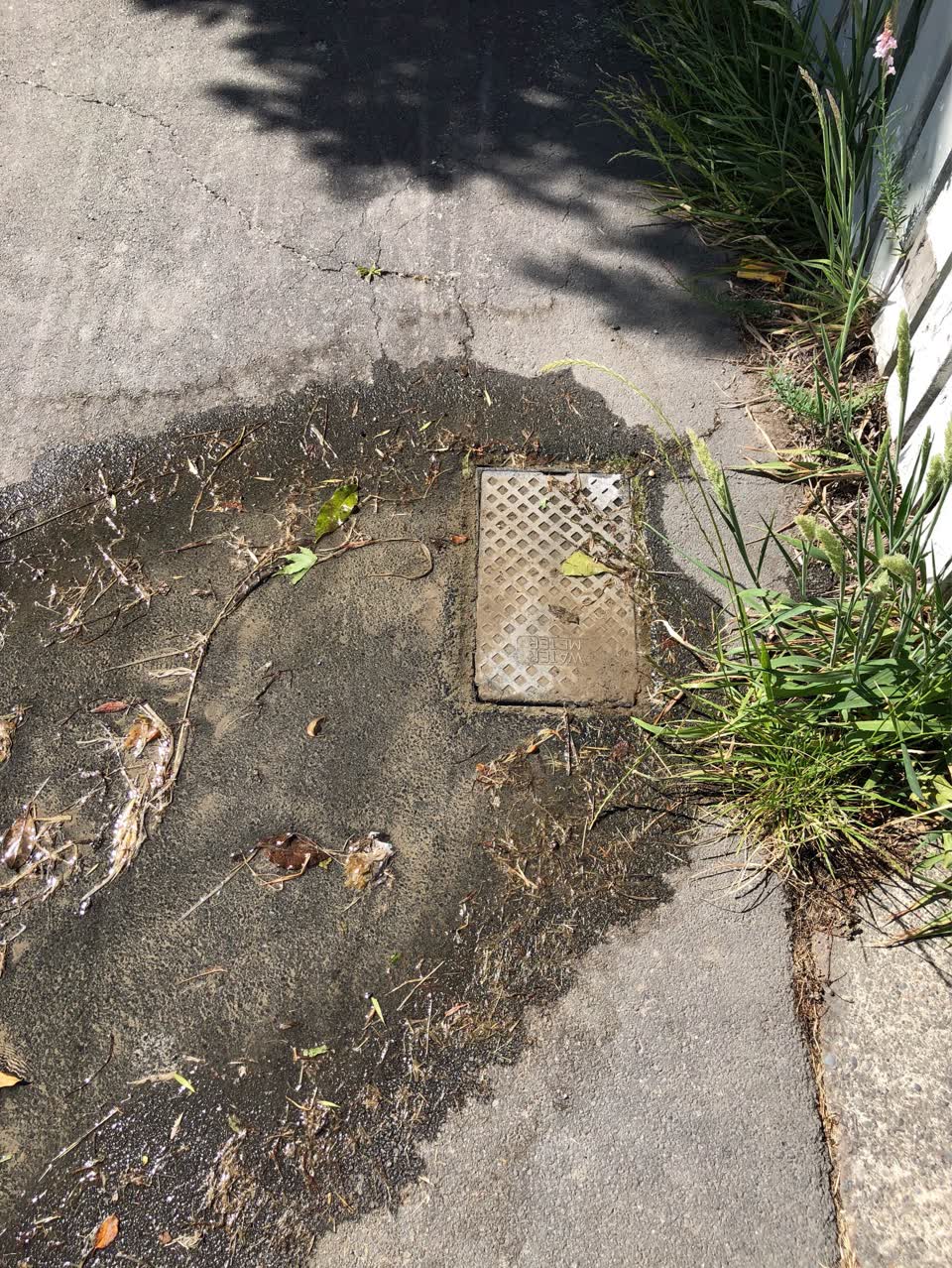 The photograph attached to this water supply report