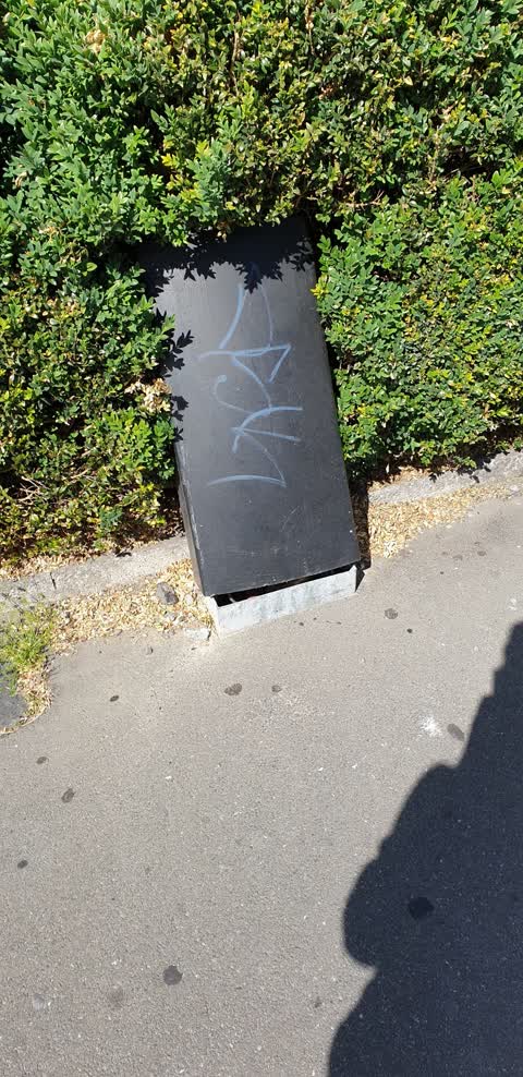 Graffiti — a report photo