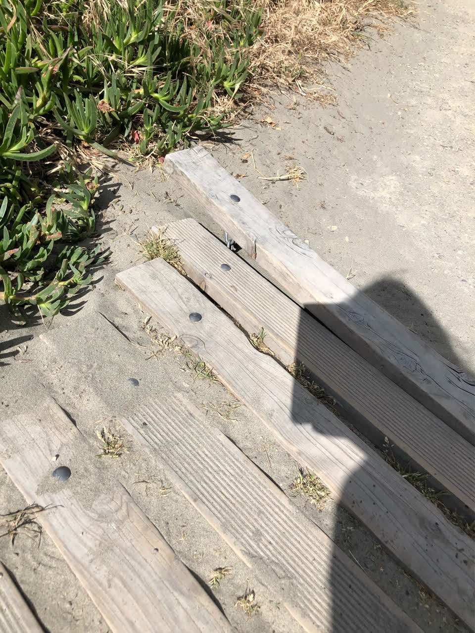 The photograph attached to this parks report