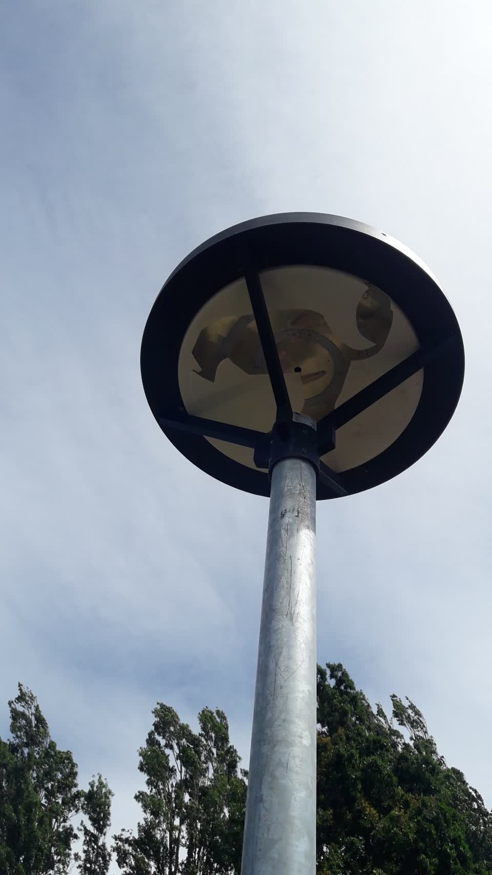 The photograph attached to this parks report