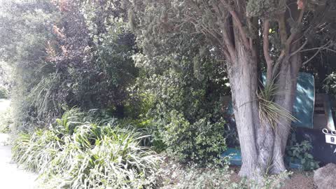 Roading/Streets, a report photo