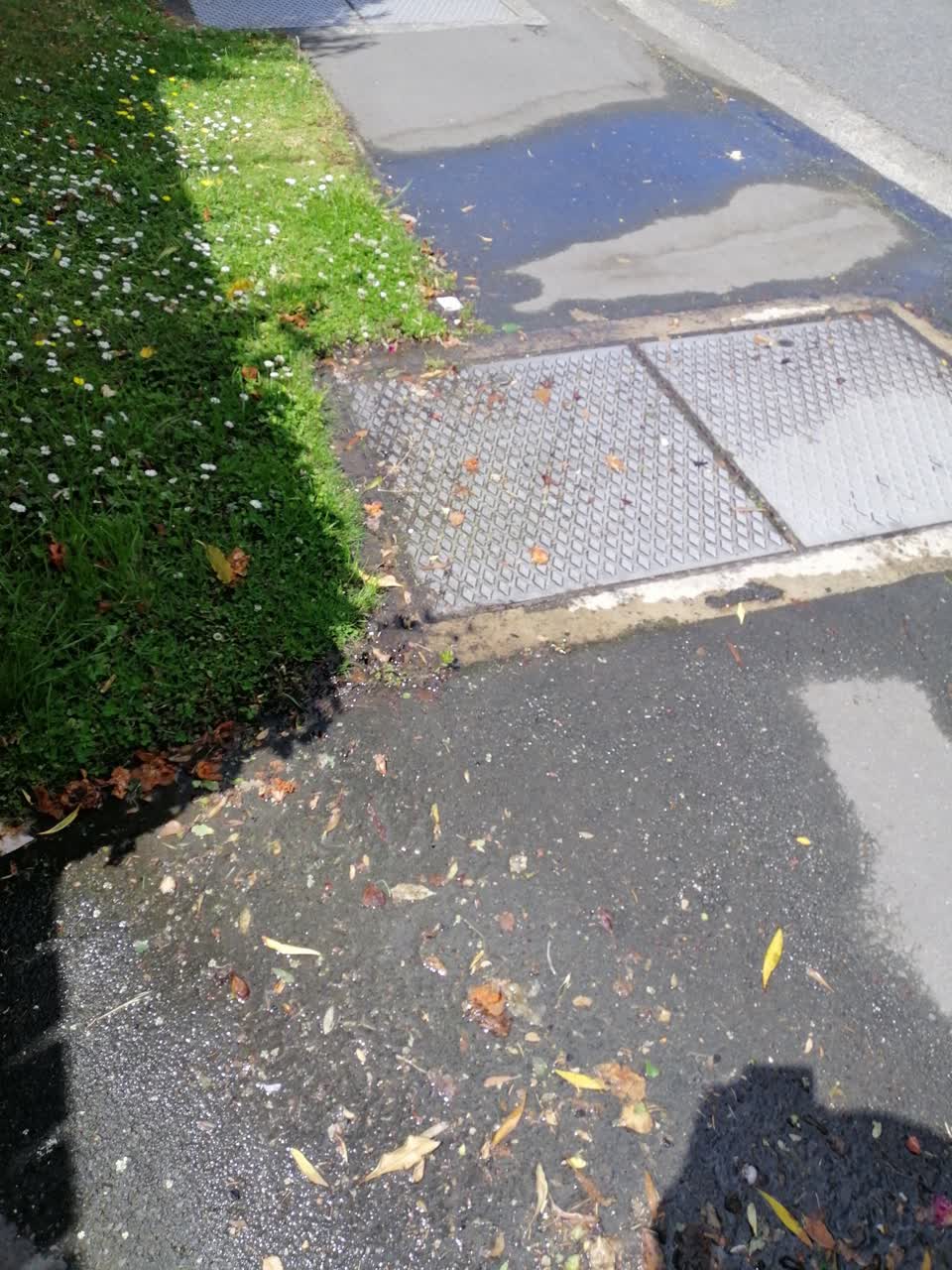 The photograph attached to this water supply report