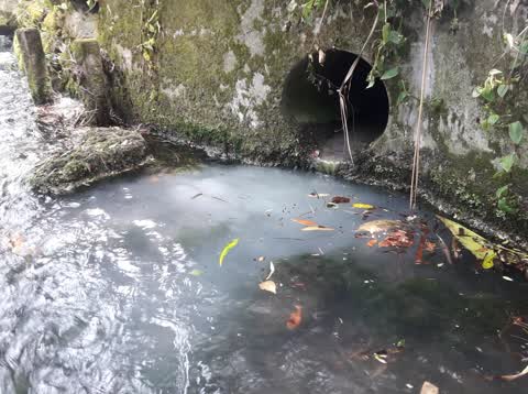 Wastewater/Stormwater, a report photo
