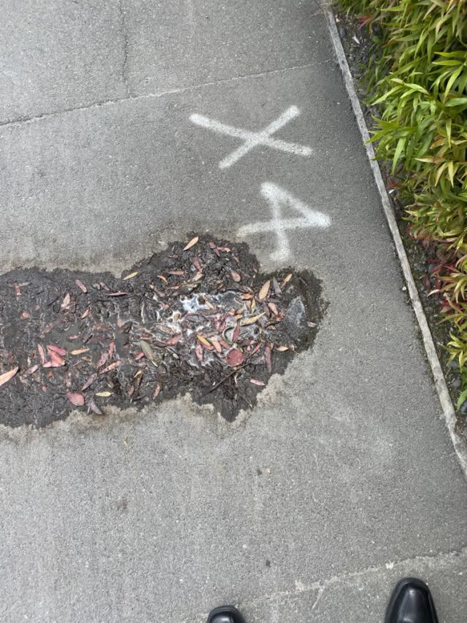 The photograph attached to this water supply report