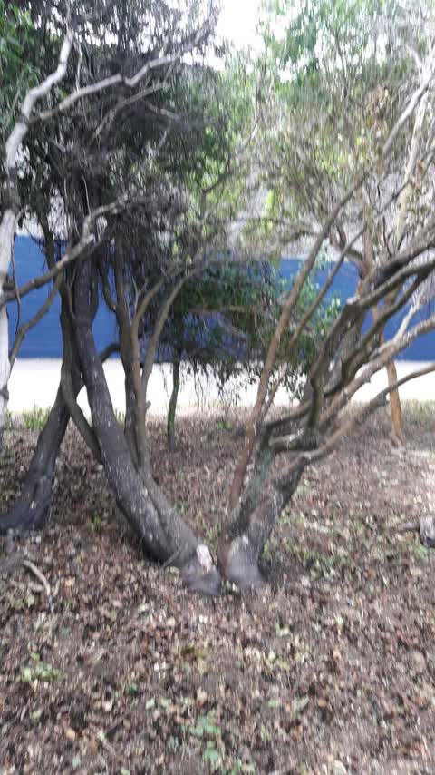 Parks, a report photo