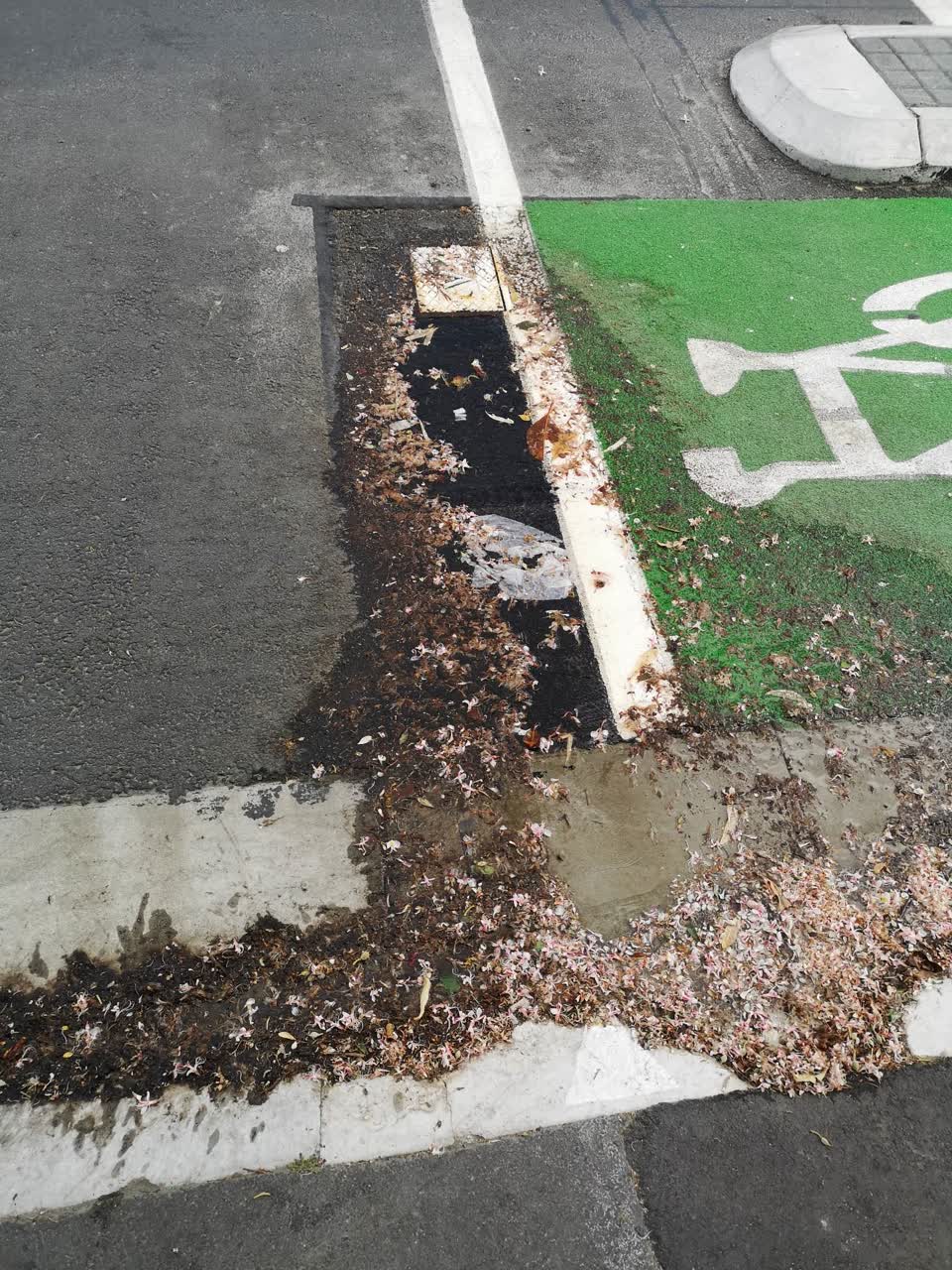 The photograph attached to this water supply report