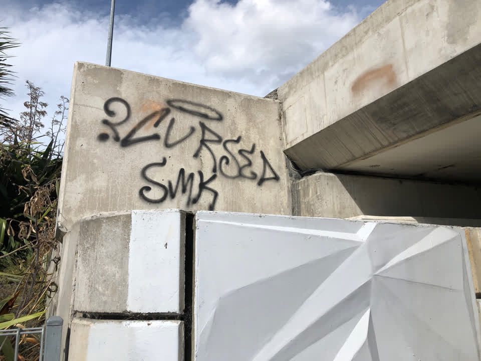 The photograph attached to this graffiti report