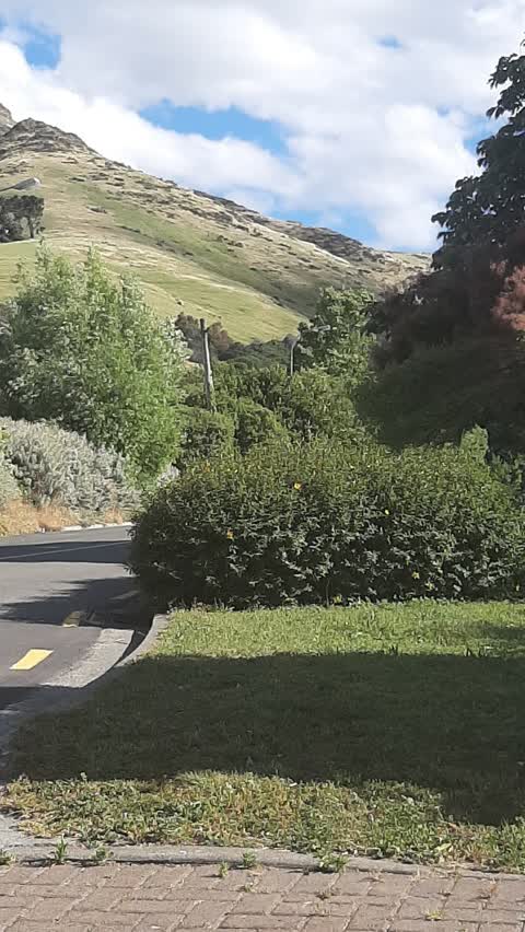 Roading/Streets — a report photo