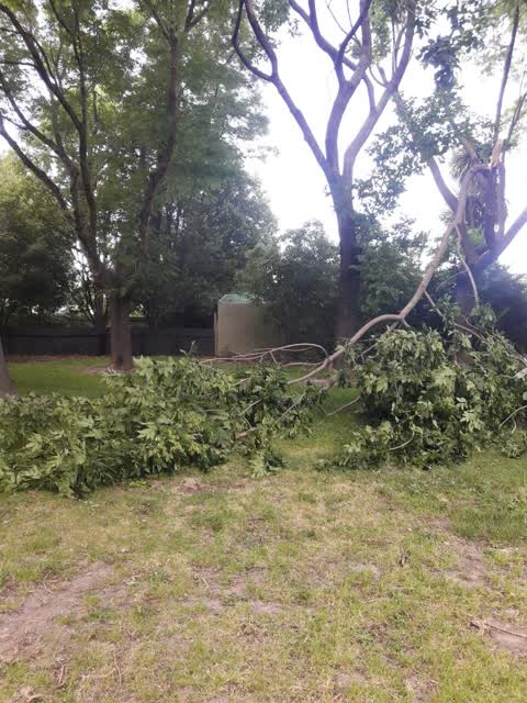 Parks, a report photo