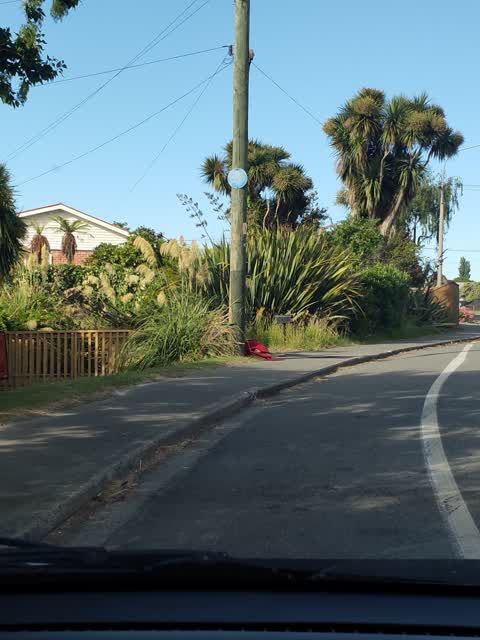 Rubbish/Recycling, a report photo