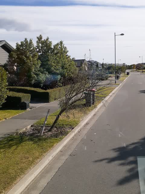 Roading/Streets, a report photo