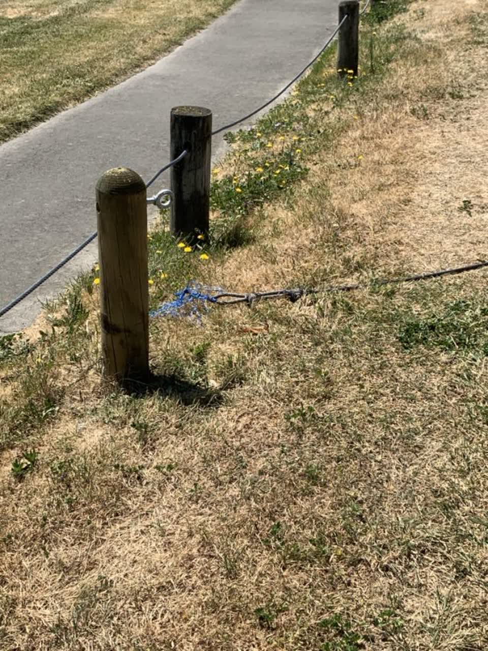 The photograph attached to this parks report