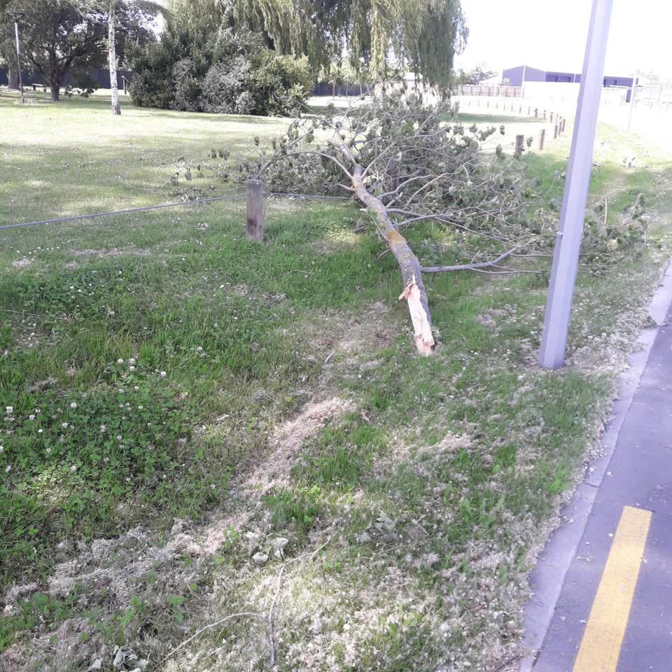 The photograph attached to this parks report