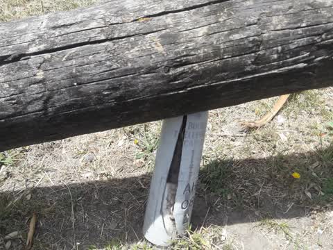 Parks, a report photo