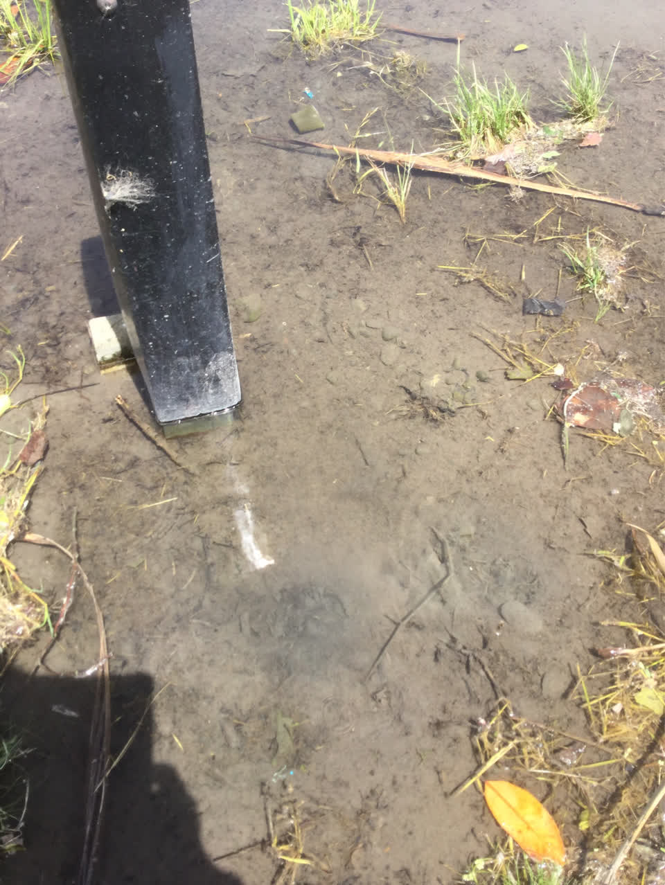The photograph attached to this water supply report