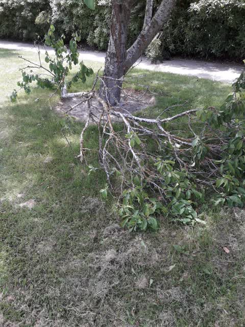 Parks, a report photo