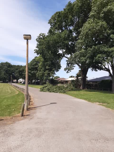 Parks, a report photo