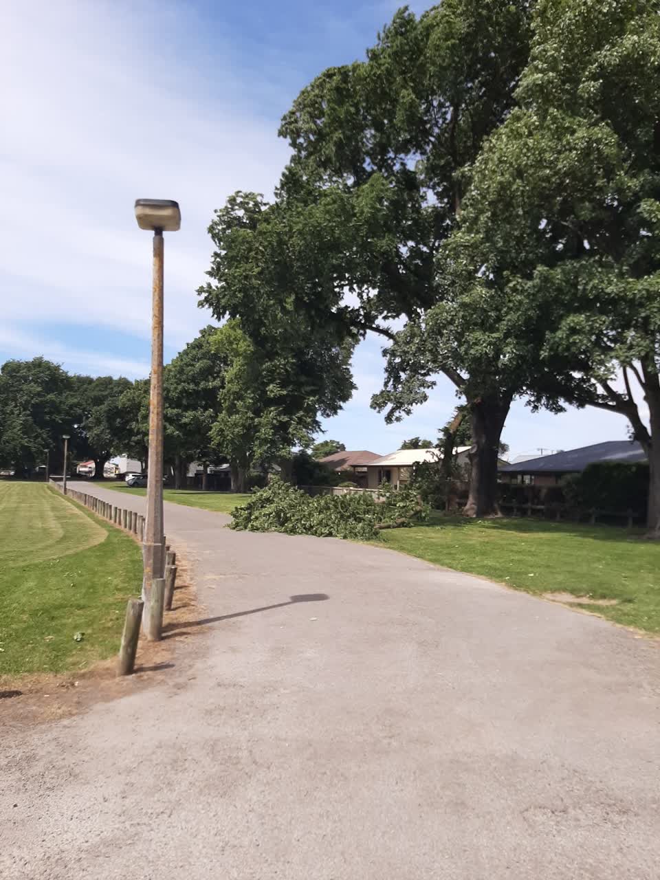 The photograph attached to this parks report