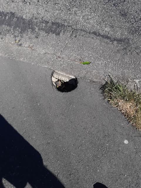 Roading/Streets, a report photo