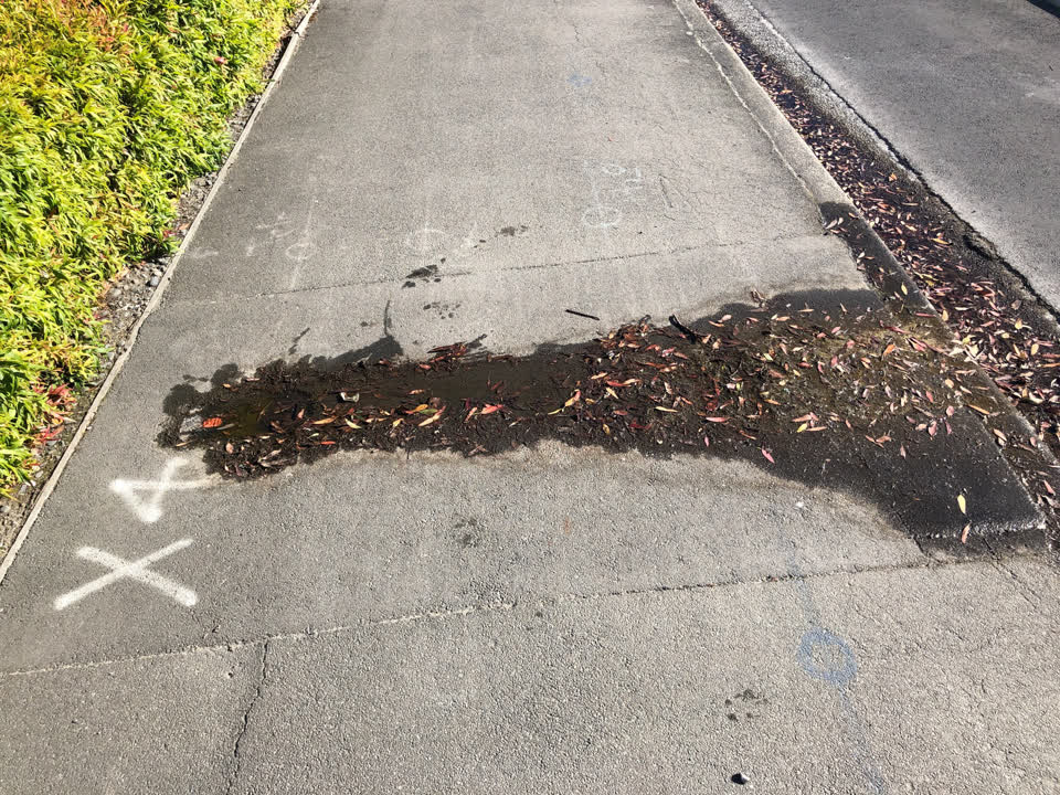 The photograph attached to this water supply report