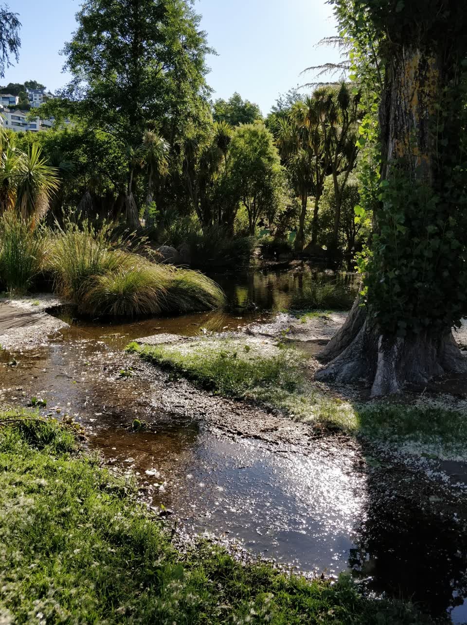 The photograph attached to this flooding report