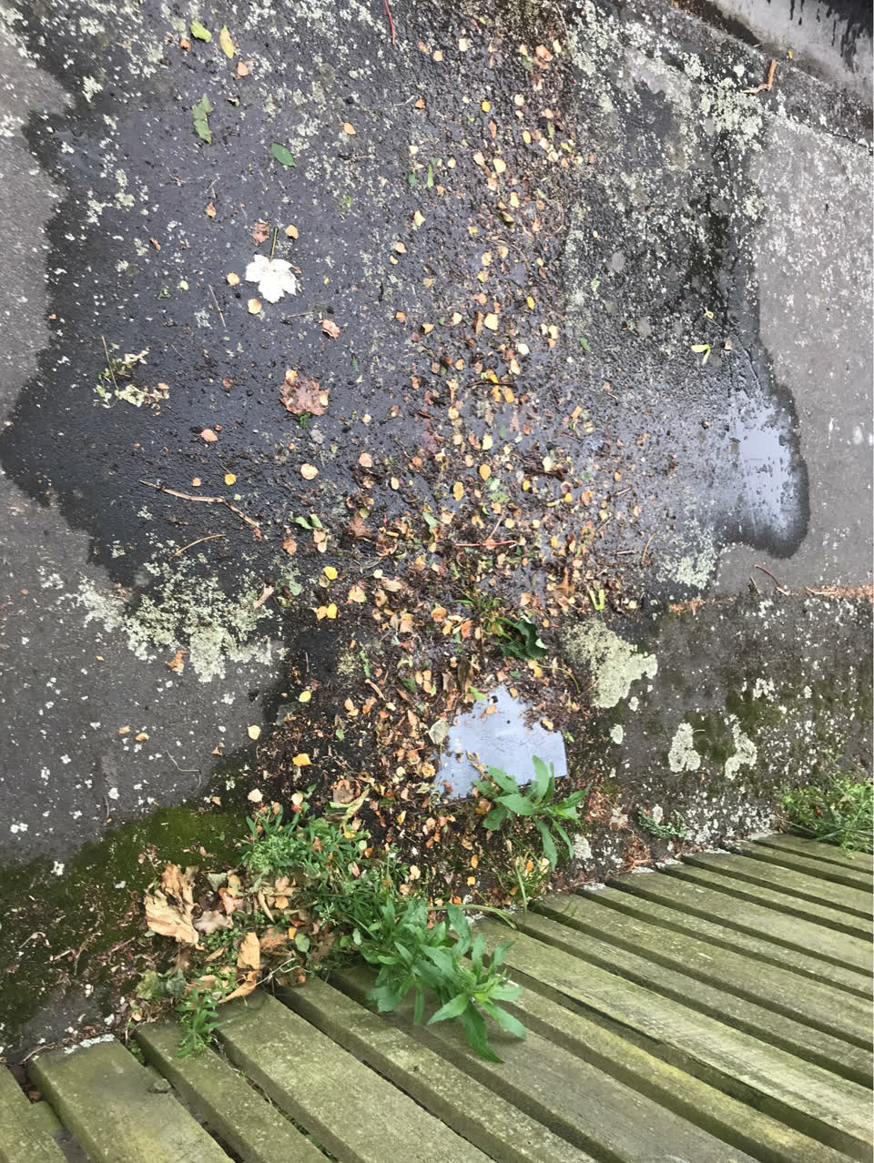 The photograph attached to this water supply report