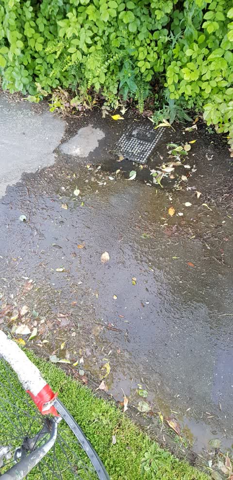 Water Supply, a report photo