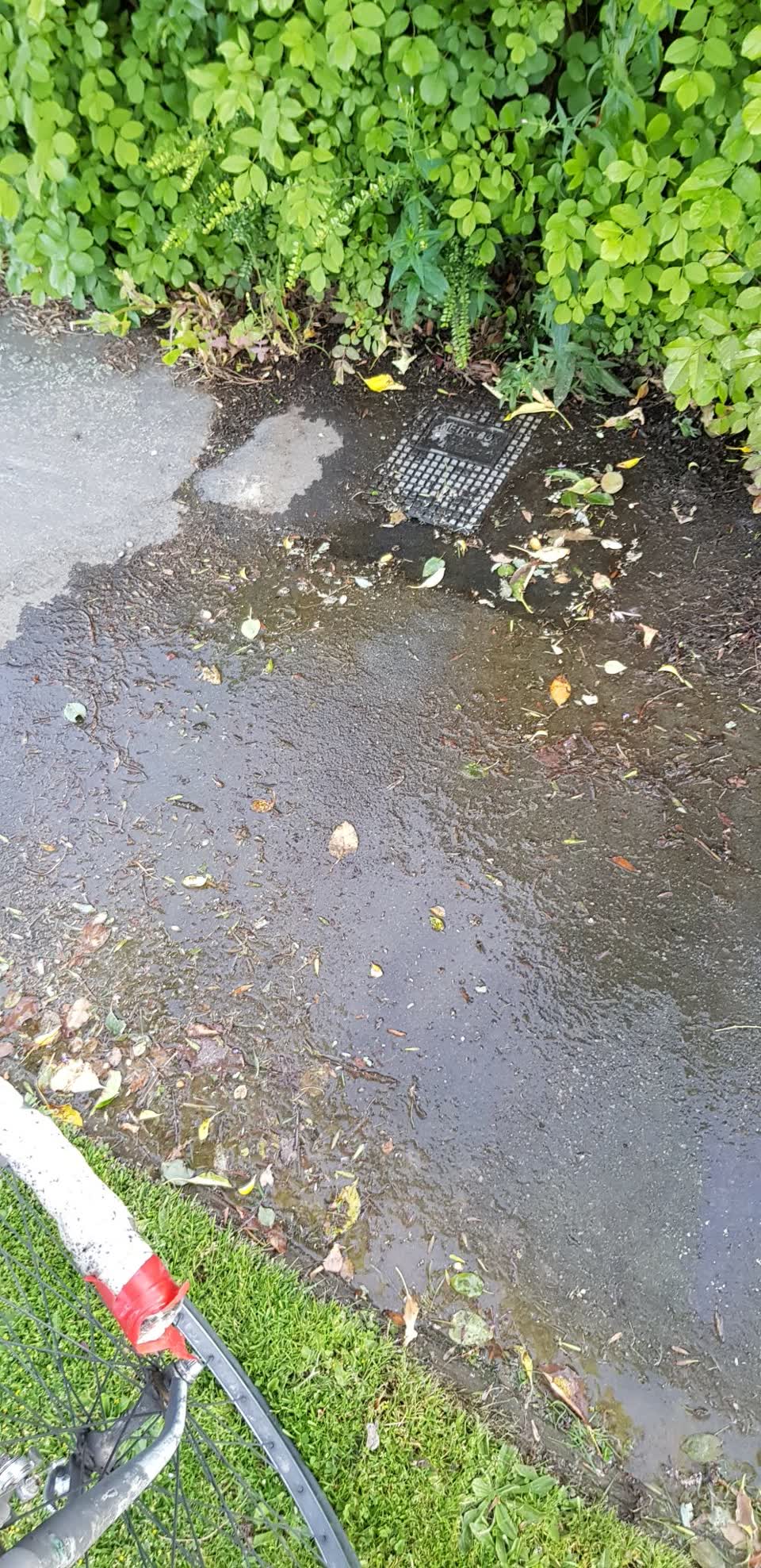 The photograph attached to this water supply report