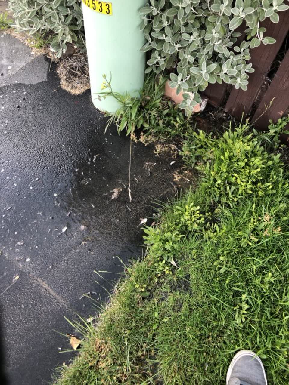 The photograph attached to this water supply report