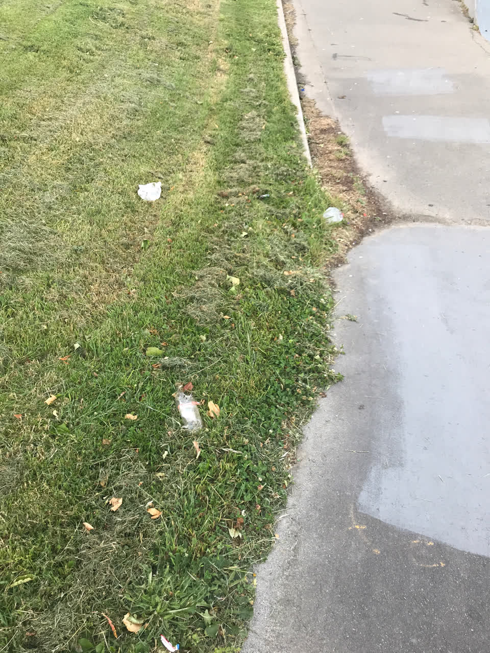 The photograph attached to this parks report