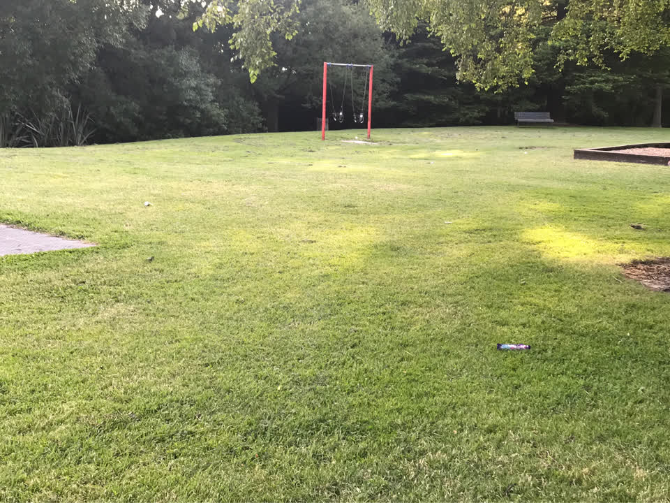 The photograph attached to this parks report