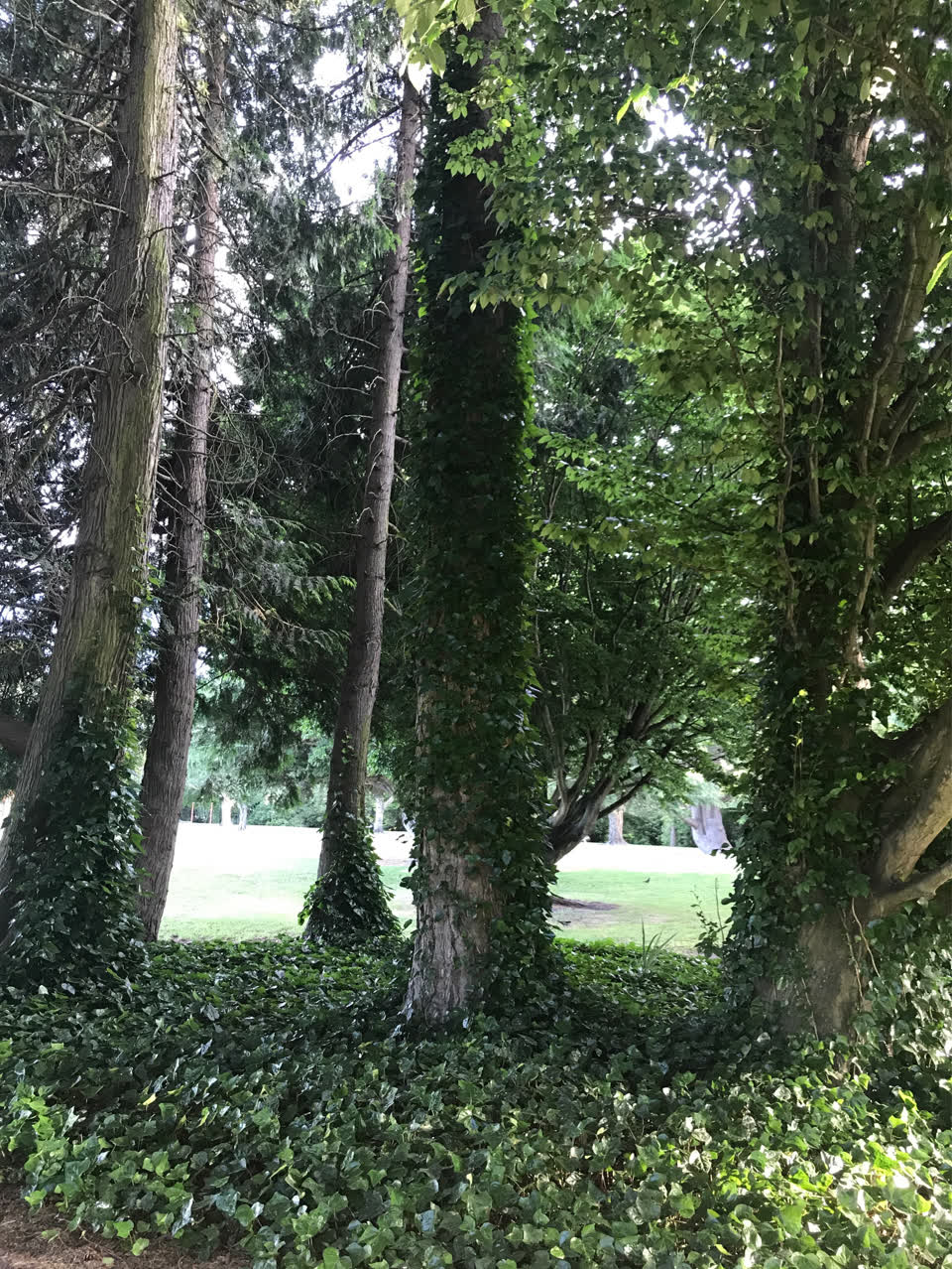 The photograph attached to this parks report