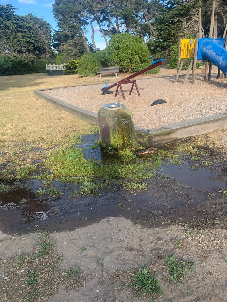 The photograph attached to this parks report