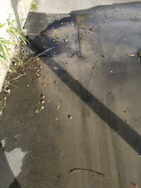 Water Supply, a report photo