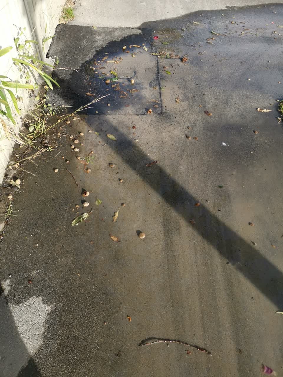 The photograph attached to this water supply report