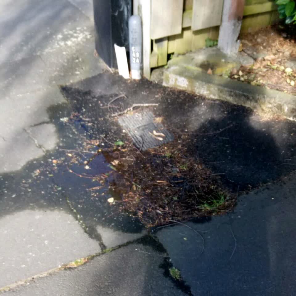 The photograph attached to this flooding report