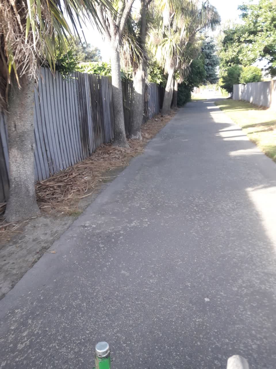 The photograph attached to this parks report