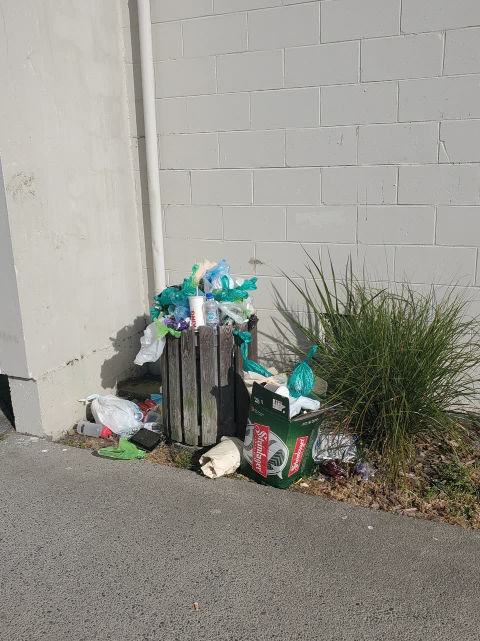 The photograph attached to this rubbish/recycling report