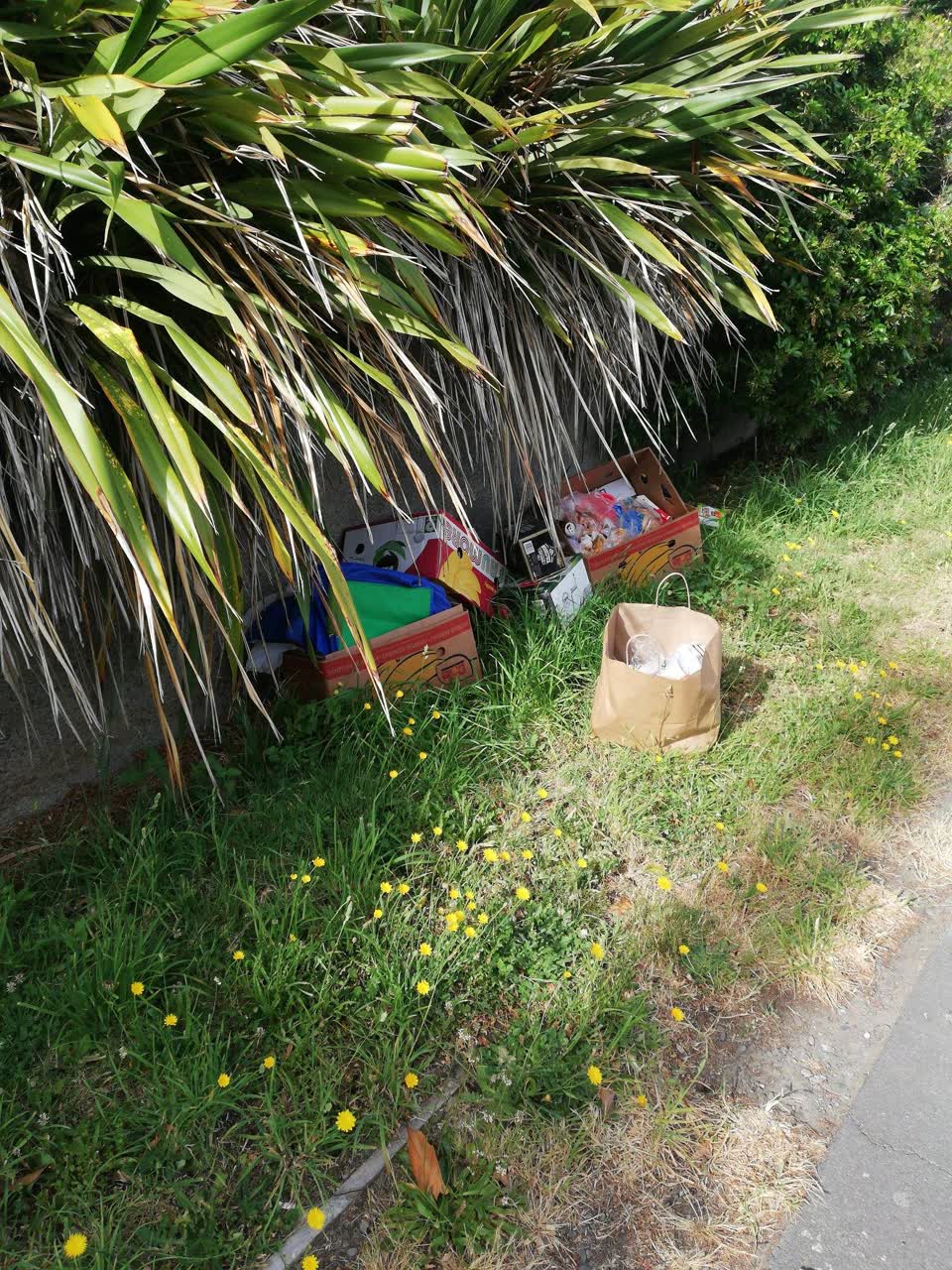 The photograph attached to this rubbish/recycling report