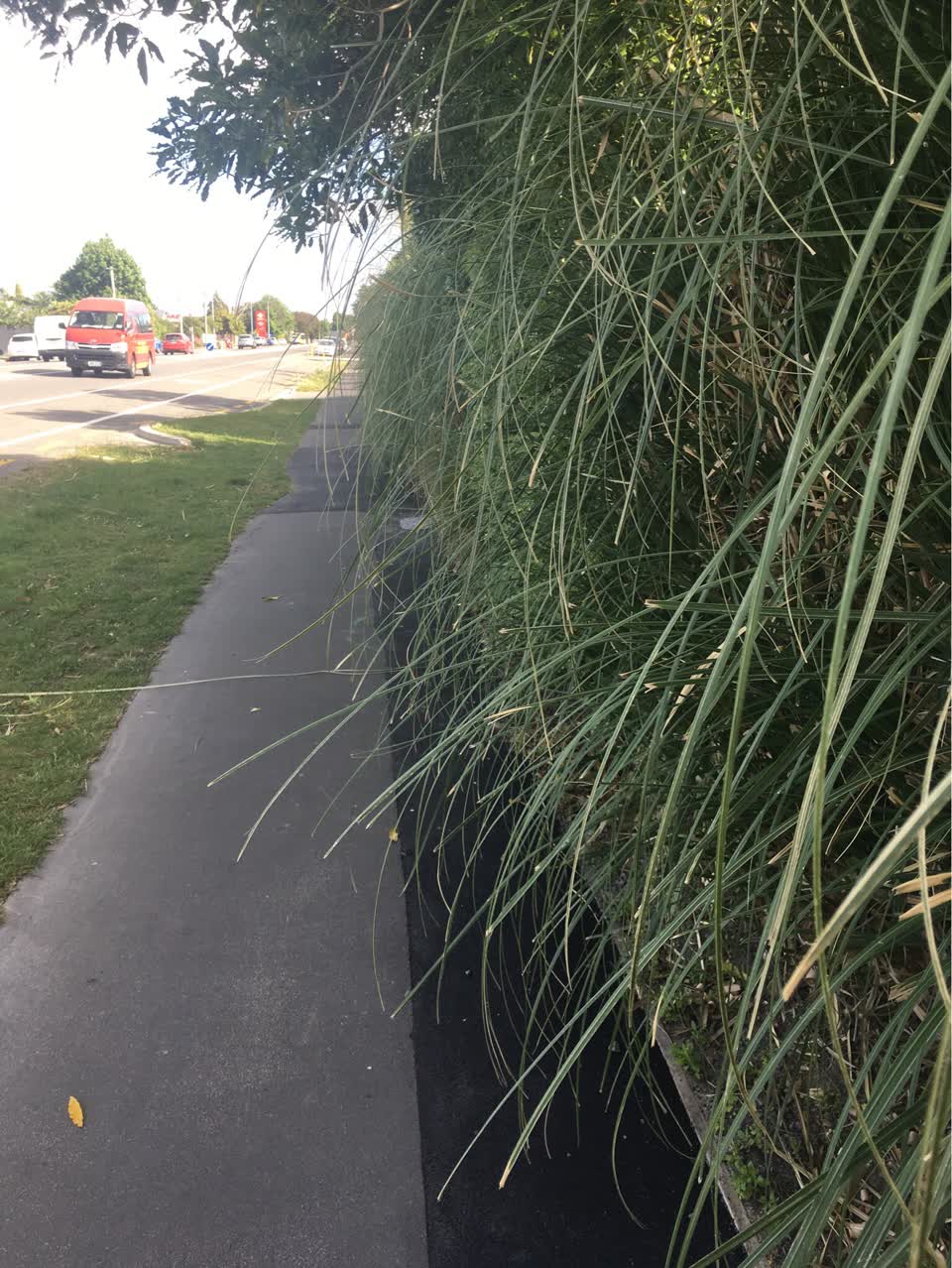 The photograph attached to this parks report